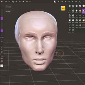 WIP facial sculpt made in nomad sculpt